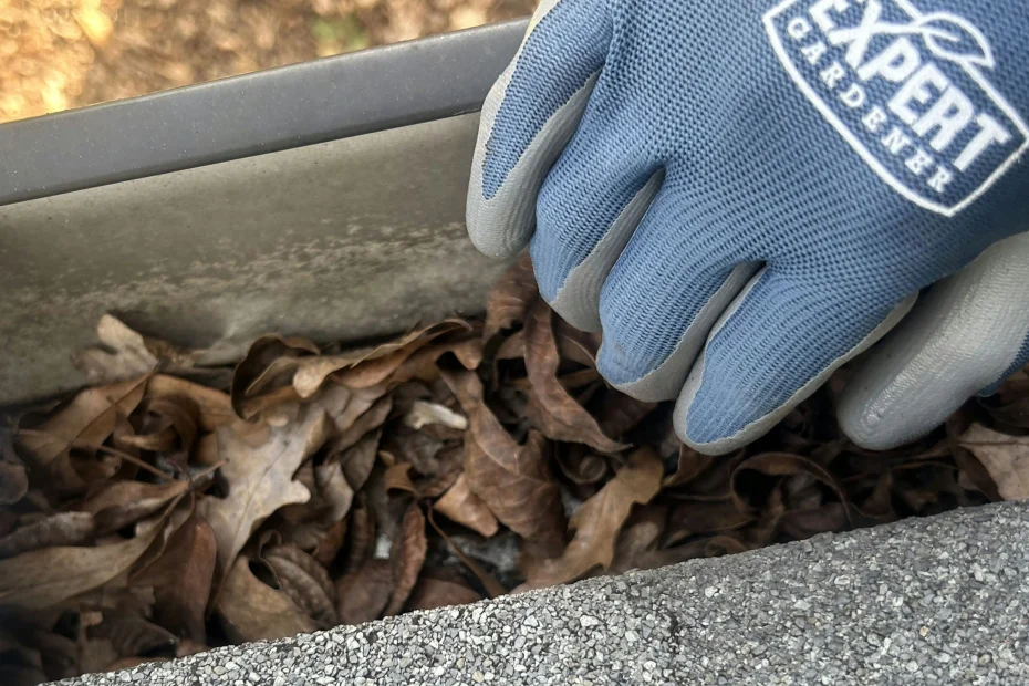 Gutter Cleaning Mauldin