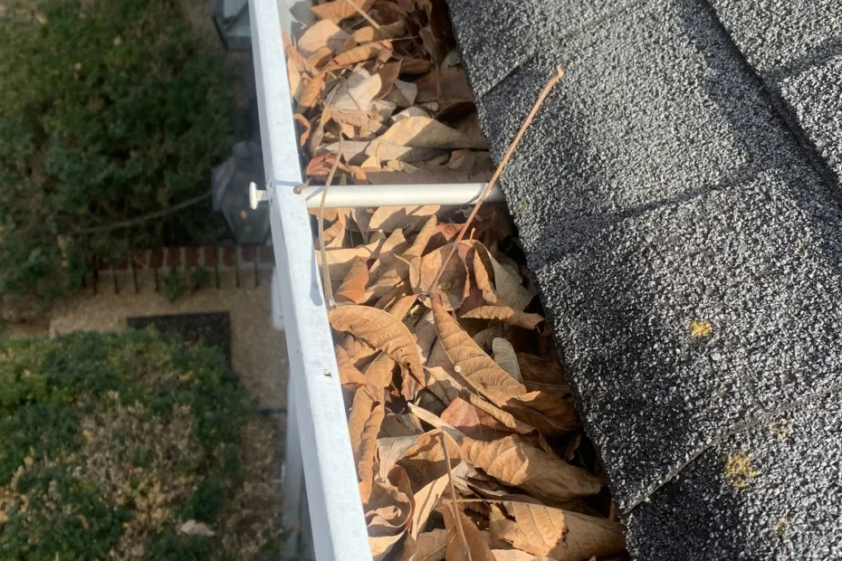 Gutter Cleaning Mauldin